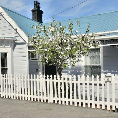 In Dunedin'S Heart, Full House, Full Sun, Full Chill, Why Stay At A Hotel When You Can Afford An Entire House Dış mekan fotoğraf