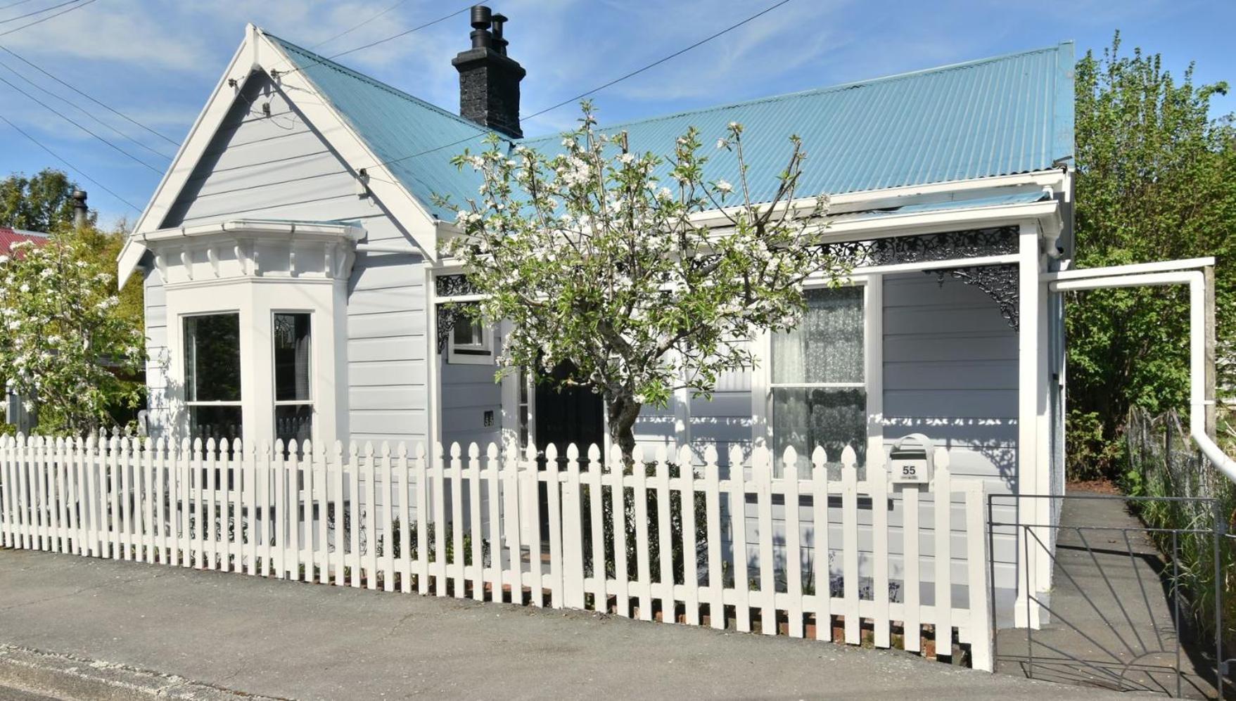 In Dunedin'S Heart, Full House, Full Sun, Full Chill, Why Stay At A Hotel When You Can Afford An Entire House Dış mekan fotoğraf